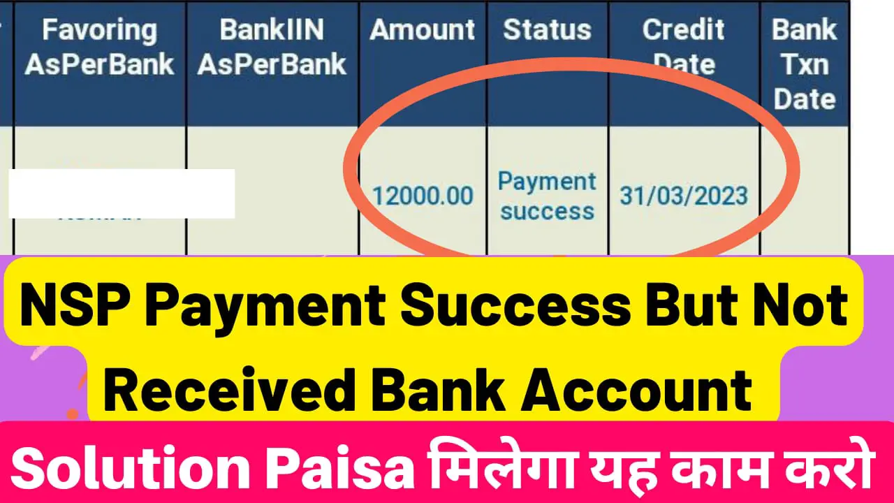 NSP Payment success but not recieved bank account 2023