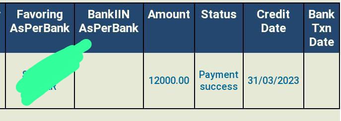 NSP payment is successful but money is not credited in the Bank account 