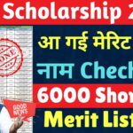 National Scholarship Release Merit list 2024 | Check Your name NSP Merit list 2024