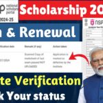 NSP Scholarship Institute Verification 2024-25 | NSP Form Verification 2024-25