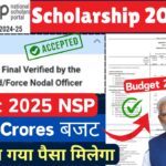 NSP Scholarship Budget 2025 | Department of Higher Education 2025 | NSP Scholarship Payment 2024-25 ||